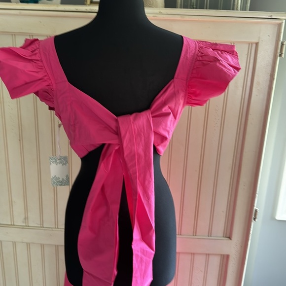 HYACINTH House From Tuckernuck NWT Pink Ruffle Sleeve Tie Back Bow Dress - Picture 5 of 15